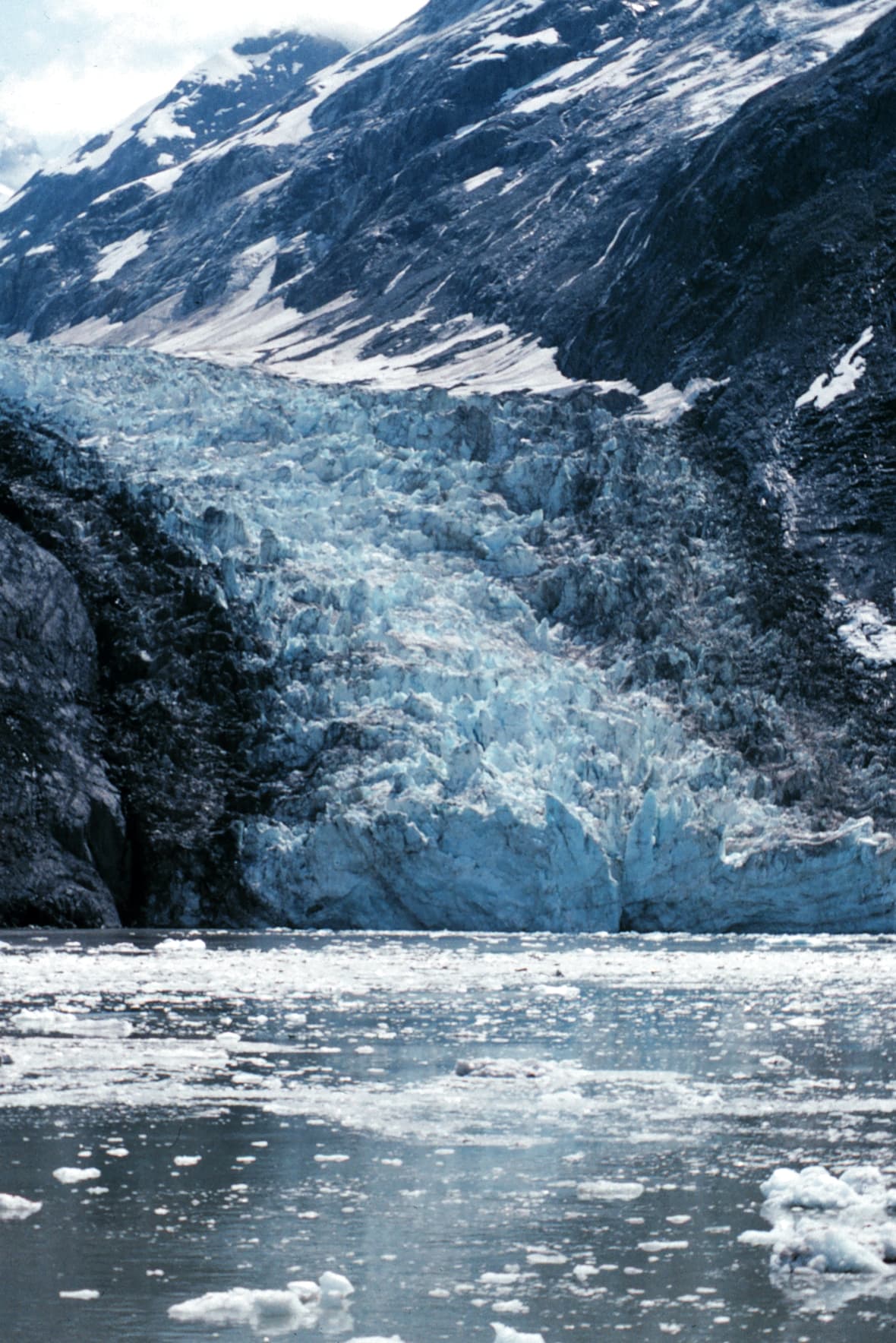 Ice breaking from a tidewater glacier in Glacier Bay